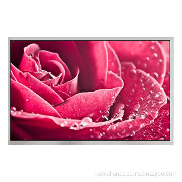 10.1-inch TFT LCD display module, 1024*600 Dot Matrix